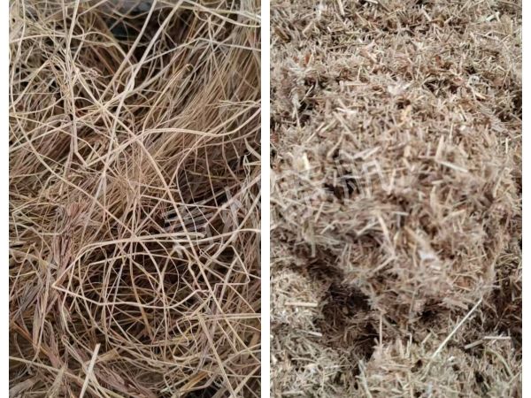 干草切斷效果對(duì)比